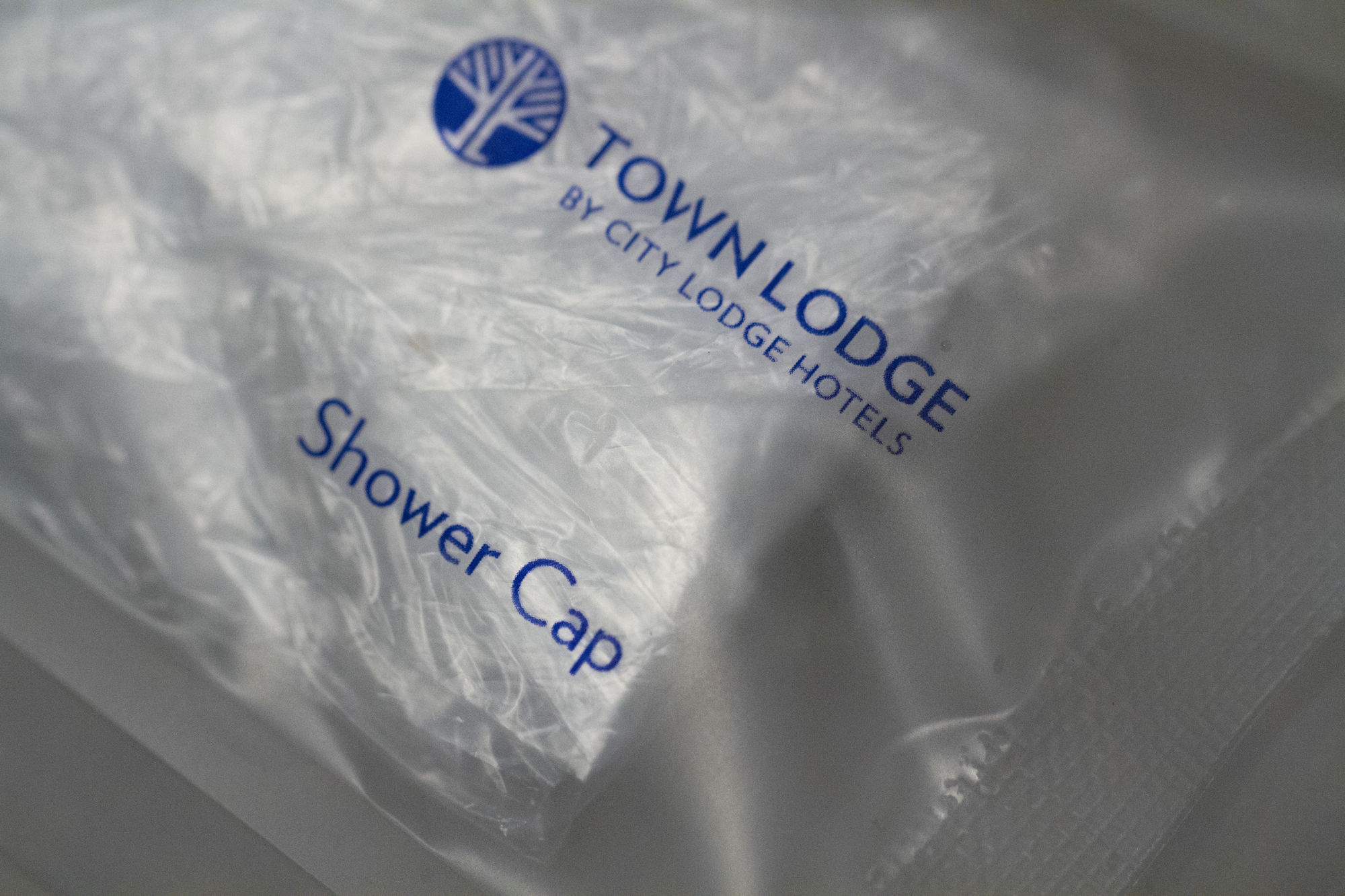 פרטוריה Town Lodge Menlo Park מראה חיצוני תמונה