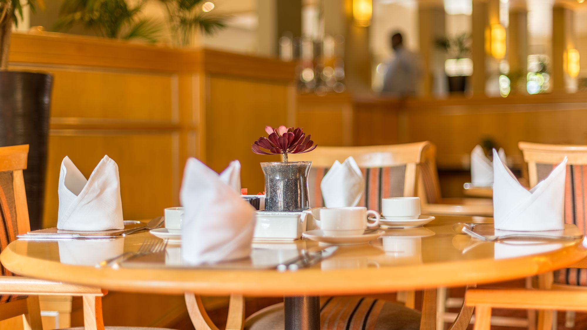 פרטוריה Town Lodge Menlo Park מראה חיצוני תמונה